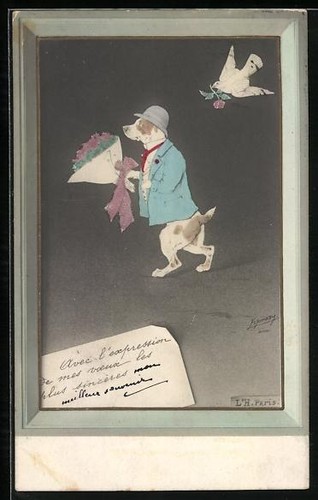 Chien veste avec bouquet de - veste,