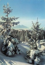 74 MORZINE PAYSAGE DE NEIGE