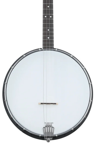 Gold tone acoustic - tone,