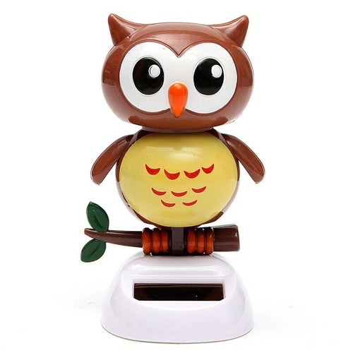 Hibou solaire qui - hibou, danse