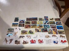 IMAGE PANINI AUTOCOLLANT