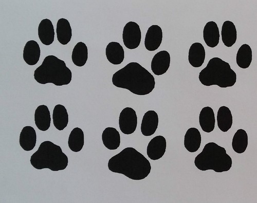 Sticker pattes chat - de,