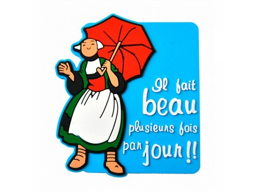 Magnet bécassine - magnet,