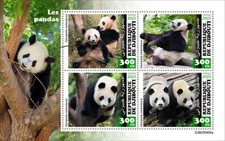 2024 05-DJIBOUTI - PANDAS          4V  complet set    MNH ** T