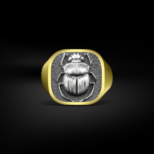 Bague chevalière homme