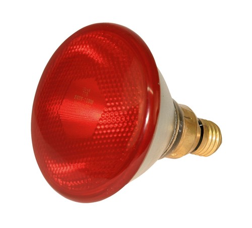 22246 lampe infrarouge par38 - lampe,