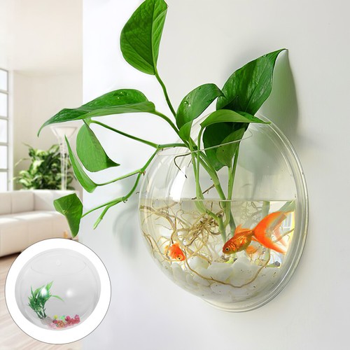 5cm bocal à poissons - À,