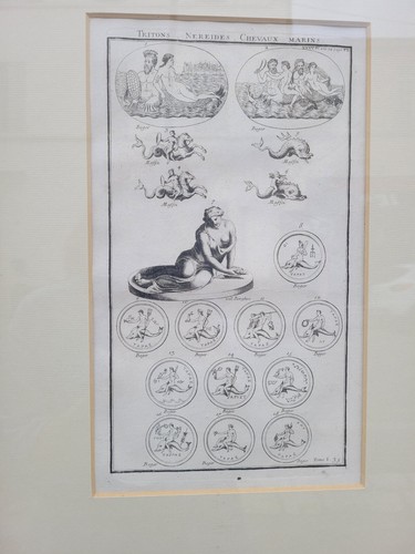Gravure encadrée tritons - encadrée,,
