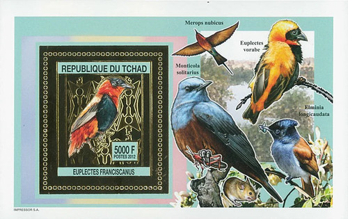 Stamps chad 2012 perf birds - chad,