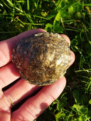 Véritable biotite mica - ,