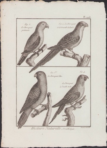 1790 buffon bonnaterre - 1790,