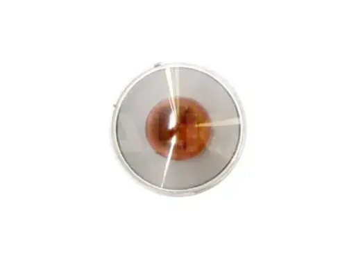 Clignotant gauche 3107961