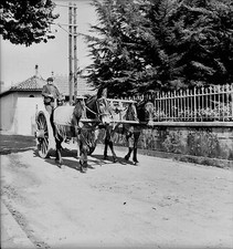 LÉON c. 1935 - Attelage Ânes  Les Landes - Négatif 6 x 6 - N6 NAQ69