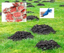 Poison puissant contre les taupes 40 pièces livraison gratuite