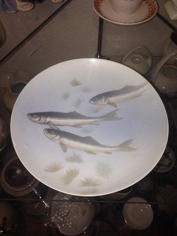 Assiette murale royal - assiette,