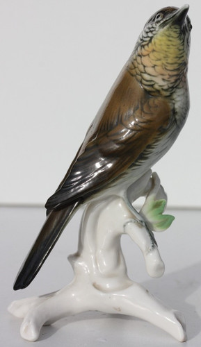 Karl ens oiseau - karl,