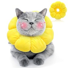 Collerette pour chat, collier
