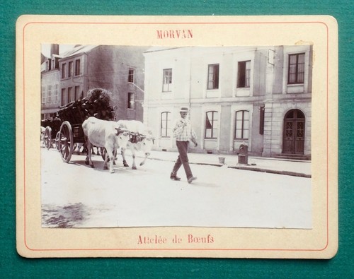 Photo ancienne albumine 1898 - photo,
