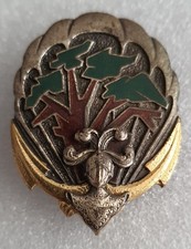 Insigne 1 er RIAOM - régiment