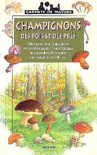 Champignons des bois - champignons, et