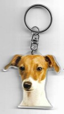 LEVRIER ITALIEN  CHIEN PORTE