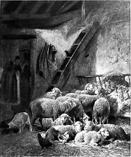 BERGERIE (Par Charles Jacque)