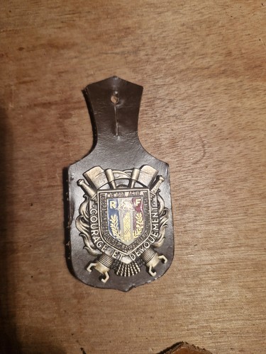 Insigne fédération des - fédération,