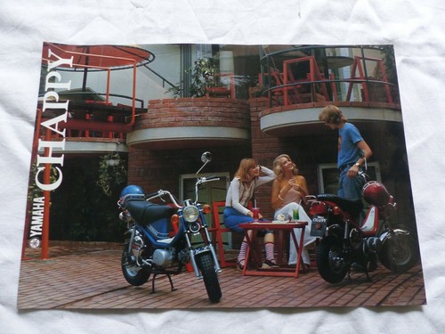 Prospectus catalogue brochure - prospectus,