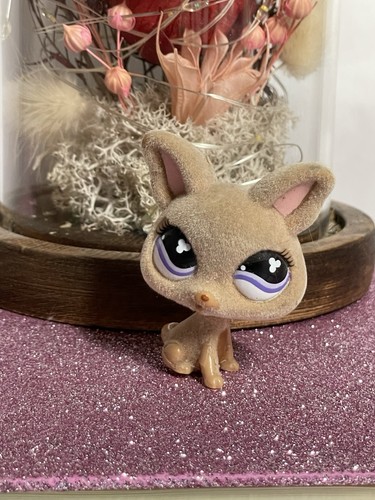 Petshop chien chihuahua - 🌸petshop,