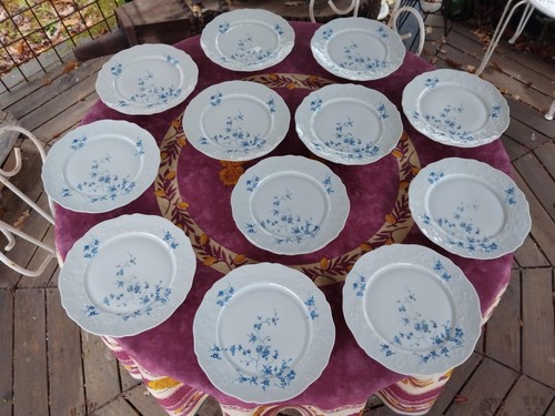 Assiettes plates porcelaine - 12,