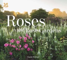 Roses Et Jardins De Roses