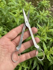 Ancienne Paire De Ciseaux Argent Massif à Raisin & Minerve & France & Argenterie