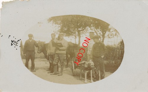 Photo antique wk1 soldat - wk1,