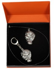 Saint Bernard - Ensemble - Le