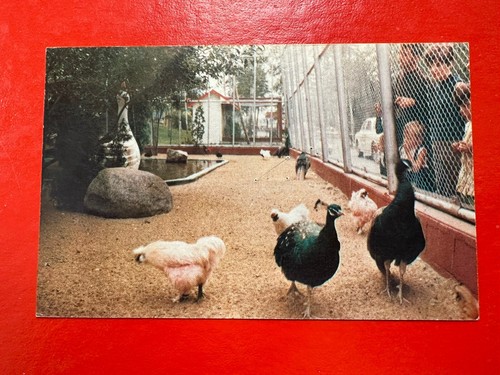 Grand voliere zoo lac - voliere, ~