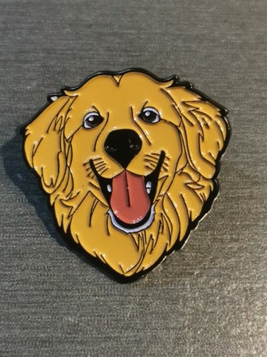 Golden retriever dog chien - golden, pin