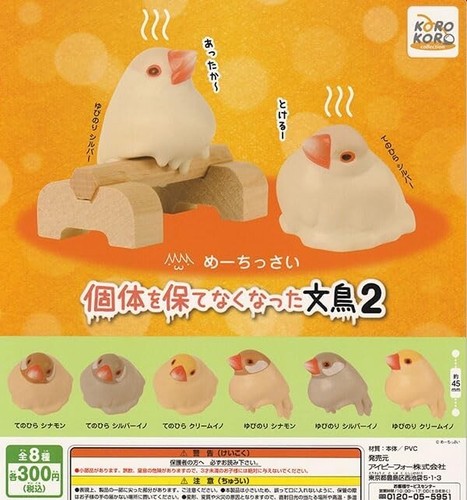 Moineau java qui - ne, peut