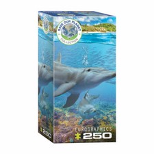 Eurographics puzzle dauphins