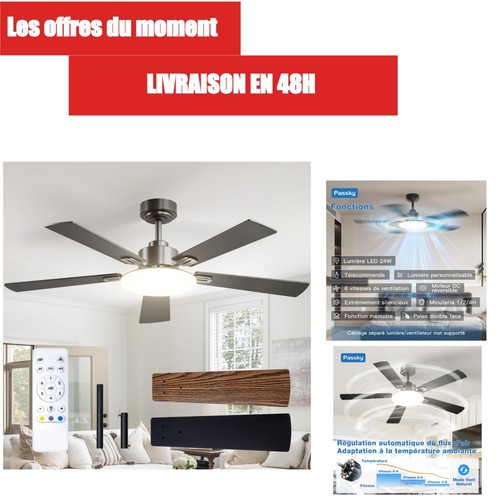 Passky ventilateur plafond - passky,