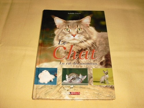 Chat vie des - chat",