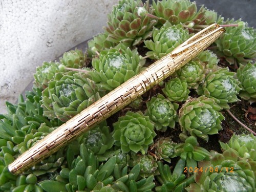Ancien stylo plume waterman - ancien,