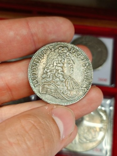 Louis xiv demi - à, la