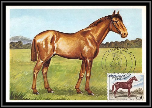 49023 835 trotteur - trotteur, chevaux