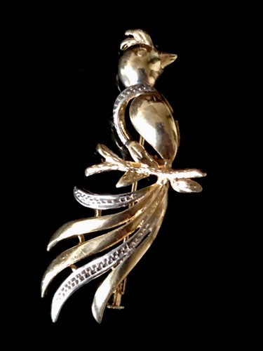 Belle broche ancienne - ancienne, en