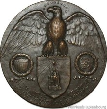V1383 Rare Medal USA American