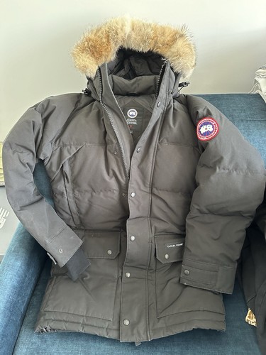 Canada goose emory - goose,