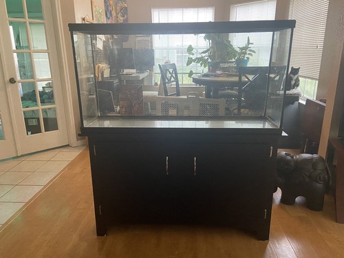 Aquarium - aquarium,