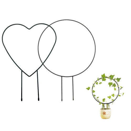 Creative plante grimpante - creative,