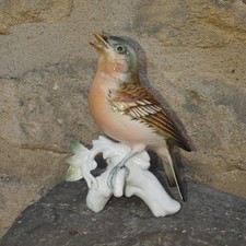 Oiseau  EN PORCELAINE DE SAXE