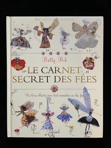 Livre fées le carnet - -,